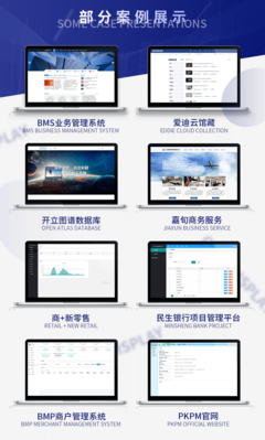 企業(yè)官網(wǎng)建設(shè)開發(fā)軟件